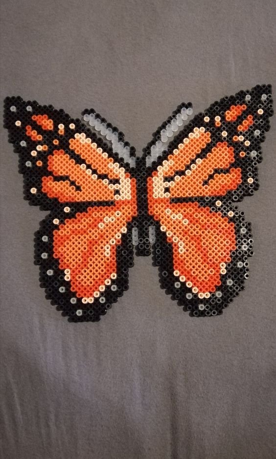 Papillon Reine Orange