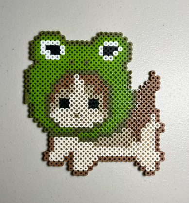 Chat avec Chapeau de Grenouille Perles à Repasser