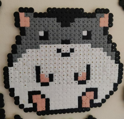 Hamster avec Cerise sur la Tête