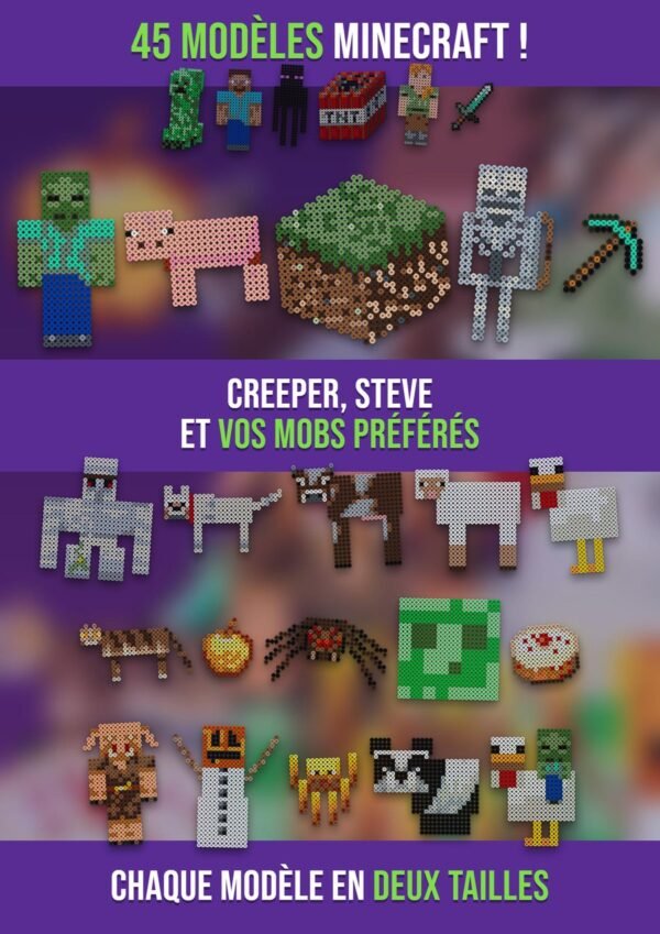 Minecraft Essentiel